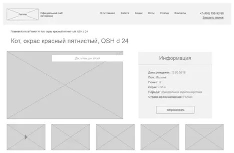 Страница котят