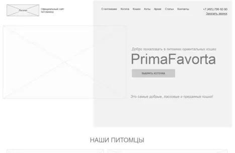 Главная страница